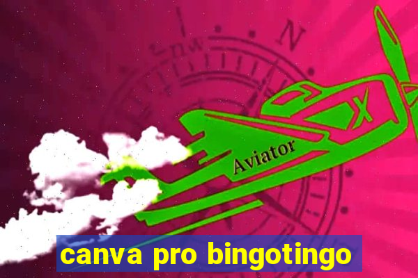 canva pro bingotingo